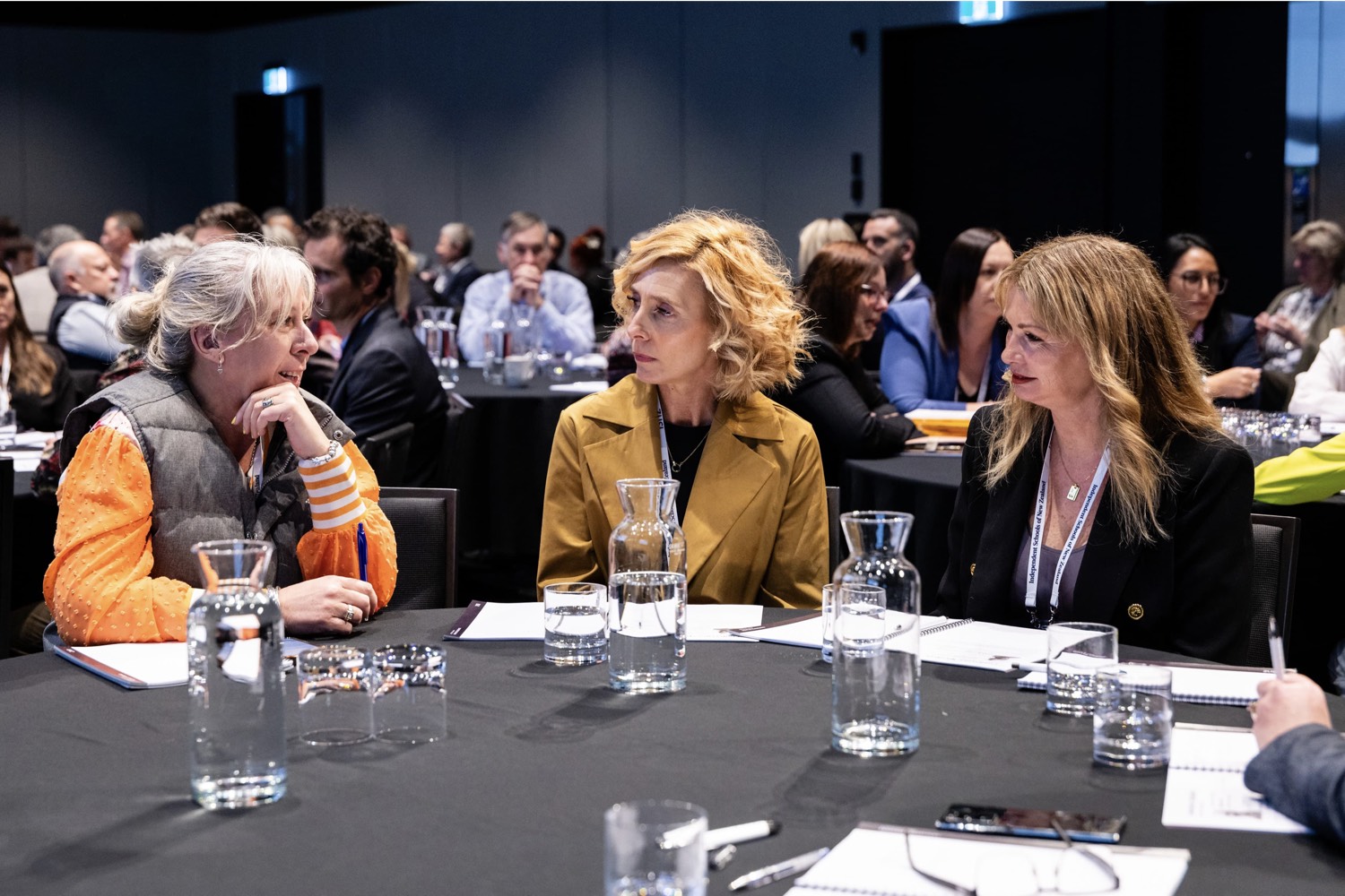 ISNZ conference audience session